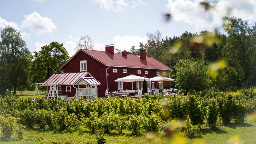 DSC03130-1-min-scaled